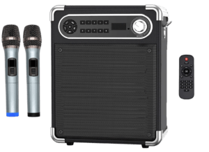 Airdancer Skydancer Luftfiguren Brautpaar Ventilator Figuren Glücksrad Karaokestation Karaokeanlage mieten Münster