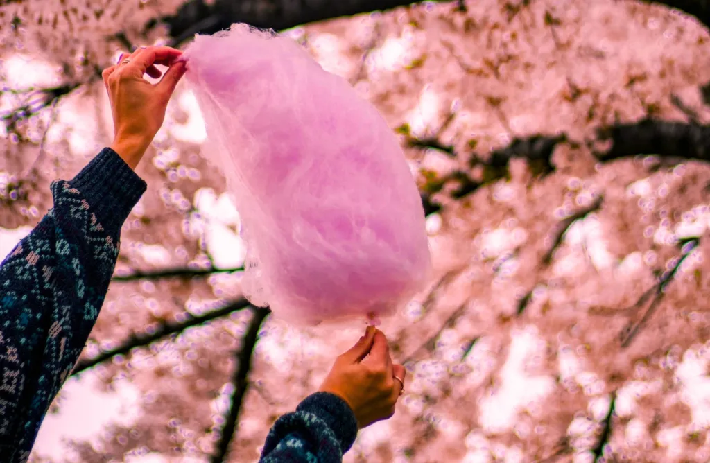 Zuckerwatte Maschine mieten aus Münster