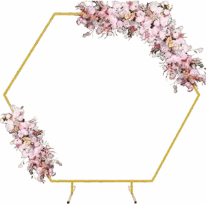 Fotobogen Ballonbogen Traubogen mieten Münster