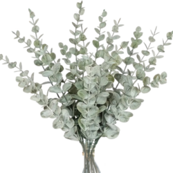 Eukalyptussträuße